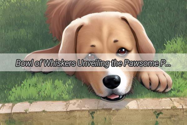 Bowl of Whiskers Unveiling the Pawsome Psychology Behind a Dogs Meal Time